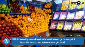 ارتفاع مفاجئ في أسعار الخضراوات بأسواق مطروح السبت 2-8-2025.. تعرف على سعر الملوخية بعد أن وصل لـ15 جنيهاً